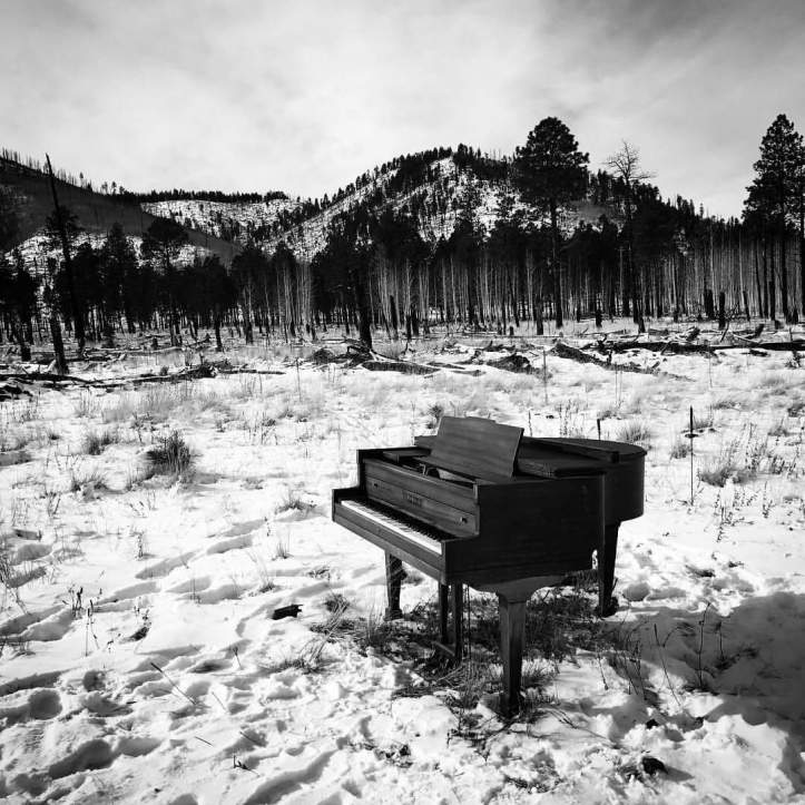 15235874_10155020200111756_6103840405611435073_o-1